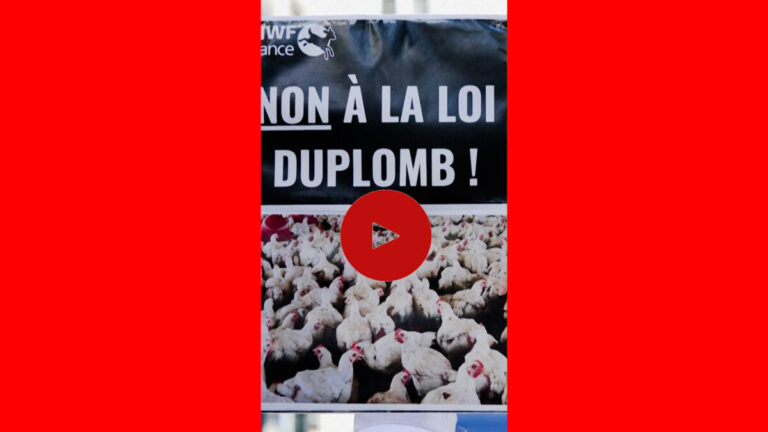 Loi Duplomb : le Conseil constitutionnel retoque le texte